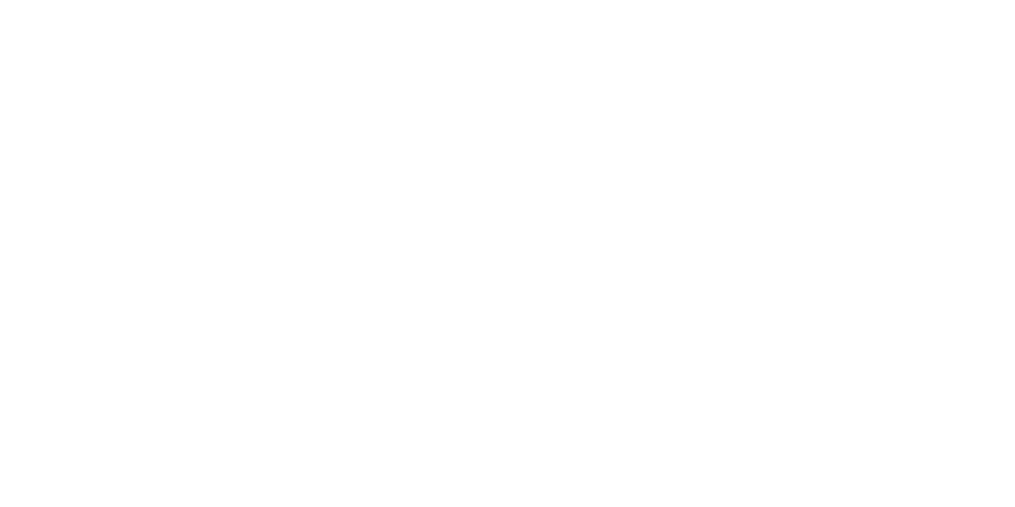 fs depot white-02