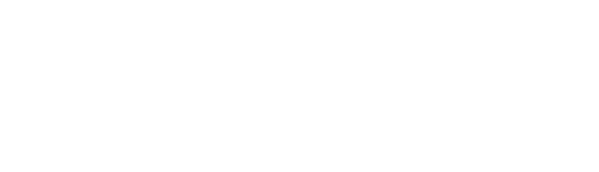Elgin Logo 